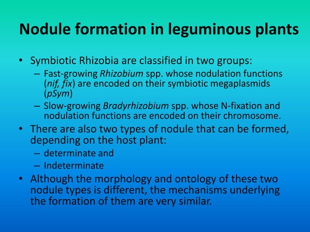 Nodule formation and nod factors | PDF | Gardening | Home & Garden