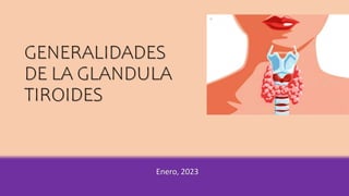 GENERALIDADES
DE LA GLANDULA
TIROIDES
Enero, 2023
 