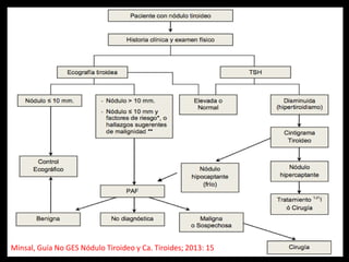Minsal, Guía No GES Nódulo Tiroideo y Ca. Tiroides; 2013: 15
 