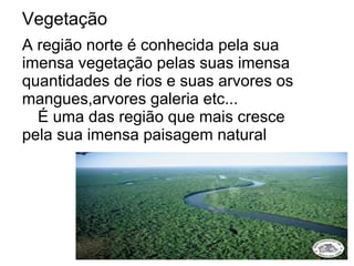Vegetação
A região norte é conhecida pela sua
imensa vegetação pelas suas imensa
quantidades de rios e suas arvores os
mangues,arvores galeria etc...
  É uma das região que mais cresce
pela sua imensa paisagem natural
 