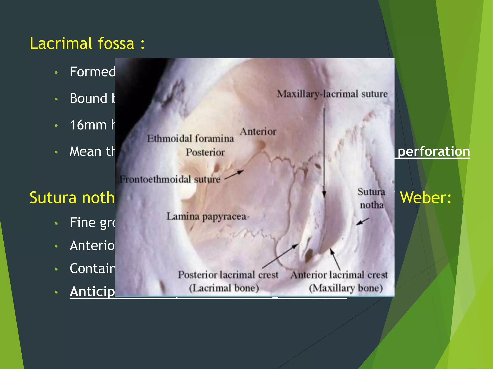 Naso-orbito-ethmoidal fracture | PPTX