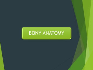 BONY ANATOMY
 
