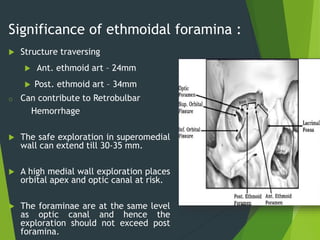 Significance of ethmoidal foramina :
 Structure traversing
 Ant. ethmoid art – 24mm
 Post. ethmoid art – 34mm
o Can contribute to Retrobulbar
Hemorrhage
 The safe exploration in superomedial
wall can extend till 30-35 mm.
 A high medial wall exploration places
orbital apex and optic canal at risk.
 The foraminae are at the same level
as optic canal and hence the
exploration should not exceed post
foramina.
 