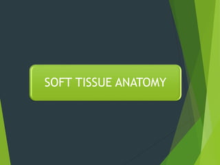 SOFT TISSUE ANATOMY
 