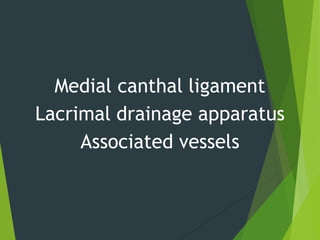 Medial canthal ligament
Lacrimal drainage apparatus
Associated vessels
 