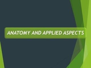 ANATOMY AND APPLIED ASPECTS
 