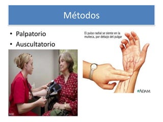 Métodos
• Palpatorio
• Auscultatorio
 
