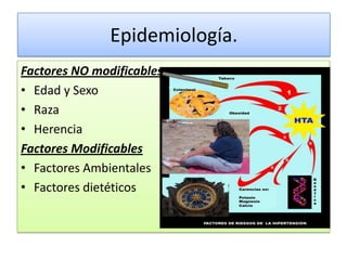 Epidemiología.
Factores NO modificables
• Edad y Sexo
• Raza
• Herencia
Factores Modificables
• Factores Ambientales
• Factores dietéticos
 