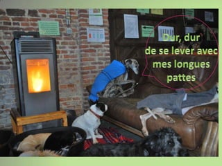 Dur, dur de se lever avec mes longues pattes