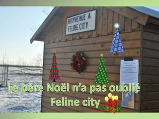 Le père Noël n’a pas oubliéFeline city