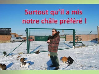 Surtout qu’il a mis notre châle préféré !