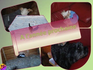 A l’année prochaine