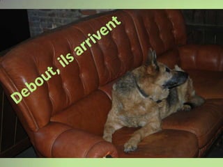 Debout, ils arrivent