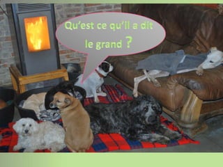 Qu’est ce qu’il a dit le grand ?