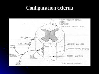 Configuración externa 