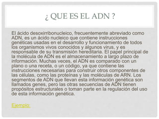 ¿ QUE ES EL ADN ?
El ácido desoxirribonucleico, frecuentemente abreviado como
ADN, es un ácido nucleico que contiene instrucciones
genéticas usadas en el desarrollo y funcionamiento de todos
los organismos vivos conocidos y algunos virus, y es
responsable de su transmisión hereditaria. El papel principal de
la molécula de ADN es el almacenamiento a largo plazo de
información. Muchas veces, el ADN es comparado con un
plano o una receta, o un código, ya que contiene las
instrucciones necesarias para construir otros componentes de
las células, como las proteínas y las moléculas de ARN. Los
segmentos de ADN que llevan esta información genética son
llamados genes, pero las otras secuencias de ADN tienen
propósitos estructurales o toman parte en la regulación del uso
de esta información genética.
Ejemplo:
 