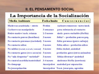 II. EL PENSAMIENTO SOCIAL
 