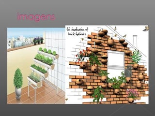 Noemi  e  wallace  4ºe