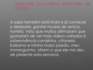    A salsa também está linda e já comecei
    o desbaste, ganhei mudas de arnica,
    hortelã, Visto que muitos afirmaram que
    gostariam de ver mais vídeos voltados à
    sobrevivência cavalinha, citronela,
    balsamo e minha maior paixão, meu
    moranguinho, olhem o que ele me deu
    de presente esta semana:
 