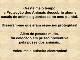 Neste meio tempo,  a Protecção dos Animais descobriu alguns casais de animais guardados no meu quintal.  Disseram-me que eram espécies protegidas!  Além de pesada multa,  fui colocado em prisão preventiva  pela posse dos animais.  Valeu-me a pulseira electrónica! 