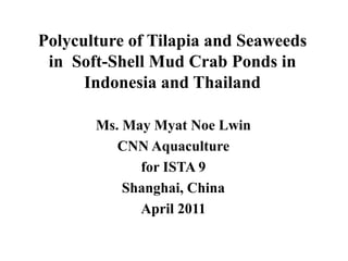 Polyculture of Tilapia and Seaweeds
in Soft-Shell Mud Crab Ponds in
Indonesia and Thailand
Ms. May Myat Noe Lwin
CNN Aquaculture
for ISTA 9
Shanghai, China
April 2011
 
