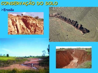 CONSERVAÇÃO DO SOLO Erosão 