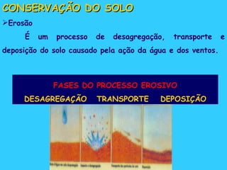 CONSERVAÇÃO DO SOLO Erosão É um processo de desagregação, transporte e deposição do solo causado pela ação da água e dos ventos. FASES DO PROCESSO EROSIVO DESAGREGAÇÃO  TRANSPORTE  DEPOSIÇÃO 