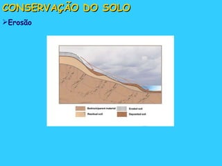 CONSERVAÇÃO DO SOLO Erosão 