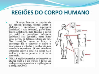  O corpo humano e constituído
de: cabeça, pescoço, tronco (tórax e
abdome), membros superiores
(torácicos) - raiz (ombro), parte livre:
braço, antebraço, mão (palma e dorso
da mão) e membros inferiores
(pélvicos): raiz (quadril), parte livre:
coxa, perna, pé (planta e dorso do pé).
Nas transições entre o braço e
antebraço há o cotovelo e entre o
antebraço e a mão ha o punho isto nos
membros superiores. Já nos membros
inferiores entre a coxa e a perna há o
joelho e entre a perna e o pé ha o
tornozelo.
 Obs.: A região posterior ao pescoço se
chama nuca e a do tronco é dorso. As
nádegas correspondem a região glútea
e a região púbica.
REGIÕES DO CORPO HUMANO
 