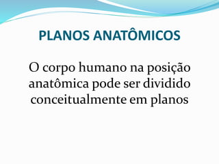 PLANOS ANATÔMICOS
O corpo humano na posição
anatômica pode ser dividido
conceitualmente em planos
 