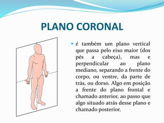 PLANO CORONAL
 é também um plano vertical
que passa pelo eixo maior (dos
pés a cabeça), mas e
perpendicular ao plano
mediano, separando a frente do
corpo, ou ventre, da parte de
trás, ou dorso. Algo em posição
a frente do plano frontal e
chamado anterior, ao passo que
algo situado atrás desse plano e
chamado posterior.
 