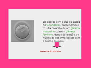 REPRODUÇÃO SEXUADA
 