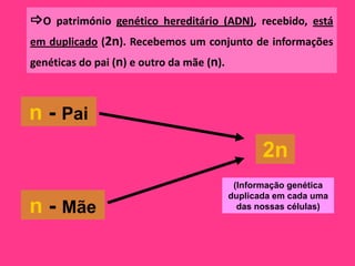 O património genético hereditário (ADN), recebido, está
em duplicado (2n). Recebemos um conjunto de informações
genéticas do pai (n) e outro da mãe (n).



n - Pai
                                                  2n
                                            (Informação genética
                                           duplicada em cada uma
n - Mãe                                      das nossas células)
 