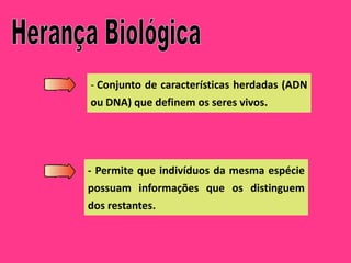 - Conjunto de características herdadas (ADN
ou DNA) que definem os seres vivos.




- Permite que indivíduos da mesma espécie
possuam informações que os distinguem
dos restantes.
 