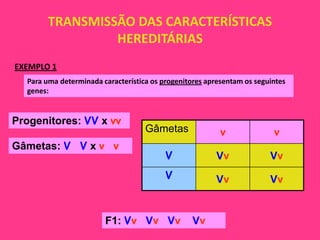 TRANSMISSÃO DAS CARACTERÍSTICAS
                 HEREDITÁRIAS
EXEMPLO 1
  Para uma determinada característica os progenitores apresentam os seguintes
  genes:


Progenitores: VV x vv
                                    Gâmetas               v              v
Gâmetas: V V x v v
                                          V             Vv              Vv
                                          V             Vv              Vv


                        F1: Vv Vv Vv              Vv
 