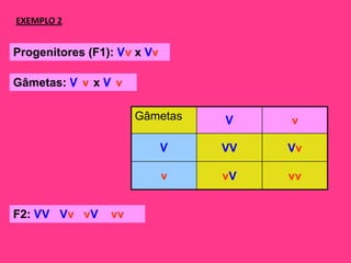 EXEMPLO 2


Progenitores (F1): Vv x Vv

Gâmetas: V v x V v

                      Gâmetas    V    v

                             V   VV   Vv

                             v   vV   vv


F2: VV Vv vV     vv
 