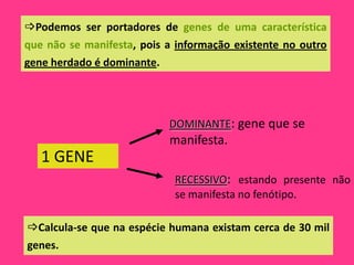 Podemos ser portadores de genes de uma característica
que não se manifesta, pois a informação existente no outro
gene herdado é dominante.




                           DOMINANTE: gene que se
                           manifesta.
   1 GENE
                            RECESSIVO: estando presente não
                            se manifesta no fenótipo.

Calcula-se que na espécie humana existam cerca de 30 mil
genes.
 