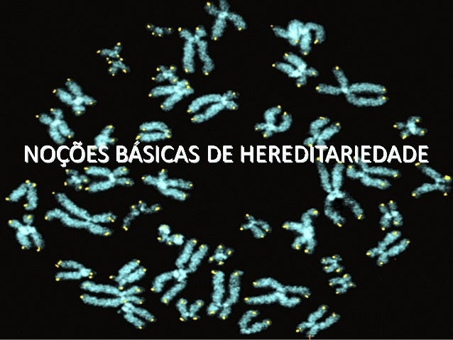 Hereditariedade Herança BiológicaÉ o conjunto de características herdadas que definem os seres vivos.O conjunto de inform...