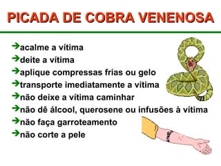 PICADA DE COBRA VENENOSA
PICADA DE COBRA VENENOSA
acalme a vítima
deite a vítima
aplique compressas frias ou gelo
transporte imediatamente a vítima
não deixe a vítima caminhar
não dê álcool, querosene ou infusões à vítima
não faça garroteamento
não corte a pele
 