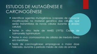 ESTUDOS DE MUTAGÊNESE E
CARCINOGÊNESE
 Identificar agentes mutagênicos (capazes de provocar
modificações no material genético das células, que
serão transmitidas às novas células durante a divisão
celular)
 Testes in vitro: teste de AMES (1975): Cepas de
Salmonella typhimurium
 Testes in vivo: cromossomas de células de medula óssea
em metáfase.
 Teste de carcinogênese: emprega-se a maior dose
tolerada, durante o período médio de vida do animal.
 
