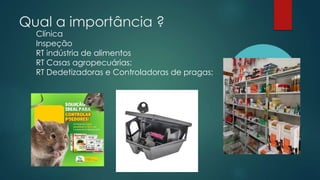 Qual a importância ?
Clínica
Inspeção
RT indústria de alimentos
RT Casas agropecuárias;
RT Dedetizadoras e Controladoras de pragas;
 