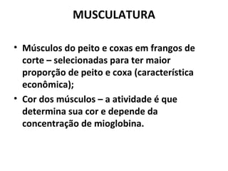 MUSCULATURA
• Músculos do peito e coxas em frangos de
corte – selecionadas para ter maior
proporção de peito e coxa (característica
econômica);
• Cor dos músculos – a atividade é que
determina sua cor e depende da
concentração de mioglobina.
 