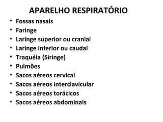 APARELHO RESPIRATÓRIO
• Fossas nasais
• Faringe
• Laringe superior ou cranial
• Laringe inferior ou caudal
• Traquéia (Siringe)
• Pulmões
• Sacos aéreos cervical
• Sacos aéreos interclavicular
• Sacos aéreos torácicos
• Sacos aéreos abdominais
 