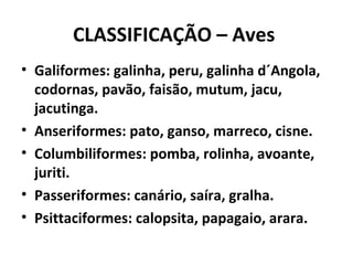 CLASSIFICAÇÃO – Aves
• Galiformes: galinha, peru, galinha d´Angola,
codornas, pavão, faisão, mutum, jacu,
jacutinga.
• Anseriformes: pato, ganso, marreco, cisne.
• Columbiliformes: pomba, rolinha, avoante,
juriti.
• Passeriformes: canário, saíra, gralha.
• Psittaciformes: calopsita, papagaio, arara.
 
