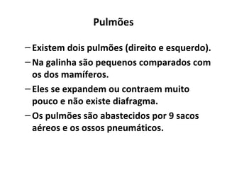 Pulmões
–Existem dois pulmões (direito e esquerdo).
–Na galinha são pequenos comparados com
os dos mamíferos.
–Eles se expandem ou contraem muito
pouco e não existe diafragma.
–Os pulmões são abastecidos por 9 sacos
aéreos e os ossos pneumáticos.
 