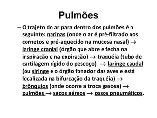 Pulmões
– O trajeto do ar para dentro dos pulmões é o
seguinte: narinas (onde o ar é pré-filtrado nos
cornetos e pré-aquecido na mucosa nasal) →
laringe cranial (órgão que abre e fecha na
inspiração e na expiração) → traquéia (tubo de
cartilagem rígido do pescoço) → laringe caudal
(ou siringe é o órgão fonador das aves e está
localizada na bifurcação da traquéia) →
brônquios (onde ocorre a troca gasosa) →
pulmões → sacos aéreos → ossos pneumáticos.
 