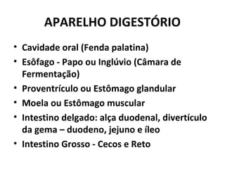 APARELHO DIGESTÓRIO
• Cavidade oral (Fenda palatina)
• Esôfago - Papo ou Inglúvio (Câmara de
Fermentação)
• Proventrículo ou Estômago glandular
• Moela ou Estômago muscular
• Intestino delgado: alça duodenal, divertículo
da gema – duodeno, jejuno e íleo
• Intestino Grosso - Cecos e Reto
 