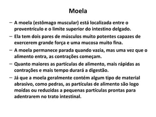 Moela
– A moela (estômago muscular) está localizada entre o
proventrículo e o limite superior do intestino delgado.
– Ela tem dois pares de músculos muito potentes capazes de
exercerem grande força e uma mucosa muito fina.
– A moela permanece parada quando vazia, mas uma vez que o
alimento entra, as contrações começam.
– Quanto maiores as partículas de alimento, mais rápidas as
contrações e mais tempo durará a digestão.
– Já que a moela geralmente contém algum tipo de material
abrasivo, como pedras, as partículas de alimento são logo
moídas ou reduzidas a pequenas partículas prontas para
adentrarem no trato intestinal.
 