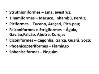 • Struthioniformes – Ema, avestruz;
• Tinamiformes – Macuco, Inhambú, Perdiz;
• Piciformes – Tucano, Araçari, Pica-pau;
• Falconiformes e Strigiformes – Águia,
Gavião,Falcão, Abutre, Coruja;
• Ciconiformes – Cegonha, Garça, Guará, Socó;
• Phoenicopteriformes – Flamingo
• Sphenisciformes - Pinguim
 