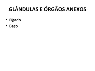 GLÂNDULAS E ÓRGÃOS ANEXOS
• Fígado
• Baço
 
